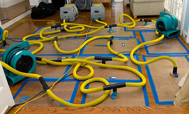Professional Burst Pipe Water Damage technician working in Freeport, NY